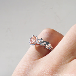 サンストーンと猫 リング / Oregon Sunstone & Cat Ring 5枚目の画像