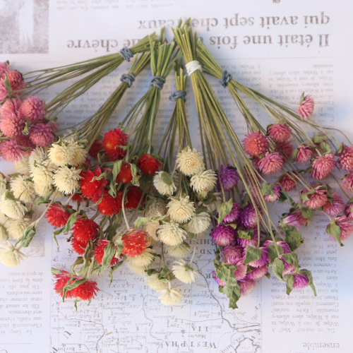 千日紅茎付き4色 ピンク.白.赤 計120本 センニチコウ その他素材