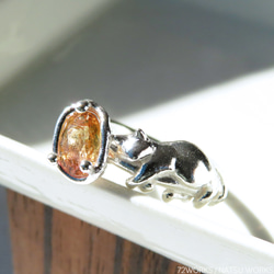 トルマリンと猫 リング / bi-color Tourmaline & Cat Ring 2枚目の画像