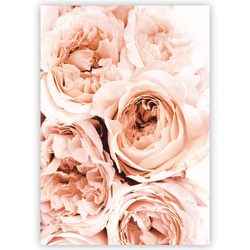 【薔薇 アートポスター】赤 バラ ロズ おしゃれ インテリアポスター モダン カフェ風 壁掛け ボタニカル 飾り 2枚目の画像