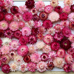 283644ff5bbe4ab28a57dd3d80cf0d