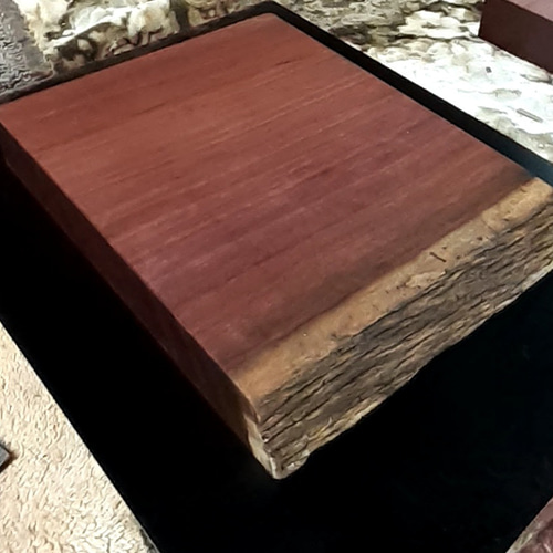 一枚板 パープルハート コーヒーテーブル テーブル 希少 激安