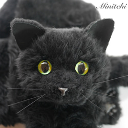 ぬいぐるみみたいな 黒猫マフラー　ストール　リアル　黒ねこ　猫雑貨　猫グッズ 防寒 4枚目の画像