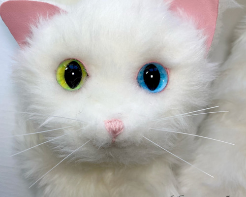 羊毛フェルト*オッドアイ白猫 ちゃん*ぬいぐるみ 赤リボン 約
