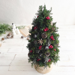 大人可愛いクリスマスツリー＊40cm＊プリザーブド&白樺の卓上サイズ 2枚目の画像