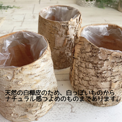 大人可愛いクリスマスツリー＊40cm＊プリザーブド&白樺の卓上サイズ 8枚目の画像