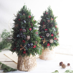 大人可愛いクリスマスツリー＊40cm＊プリザーブド&白樺の卓上サイズ 6枚目の画像