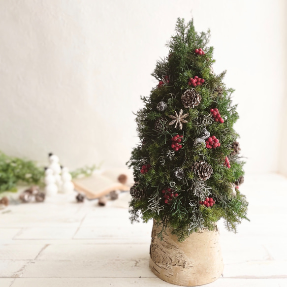 大人可愛いクリスマスツリー＊40cm＊プリザーブド&白樺の卓上サイズ 5枚目の画像