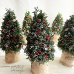 大人可愛いクリスマスツリー＊40cm＊プリザーブド&白樺の卓上サイズ 7枚目の画像