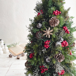 大人可愛いクリスマスツリー＊40cm＊プリザーブド&白樺の卓上サイズ 3枚目の画像