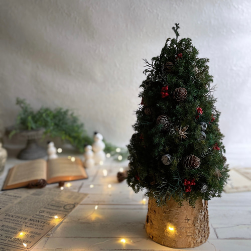 大人可愛いクリスマスツリー＊40cm＊プリザーブド&白樺の卓上サイズ