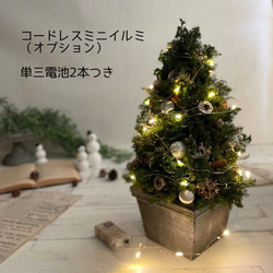大人可愛いクリスマスツリー＊40cm＊プリザーブド&白樺の卓上サイズ 12枚目の画像