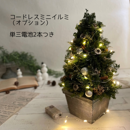 大人可愛いクリスマスツリー＊40cm＊プリザーブド&白樺の卓上サイズ