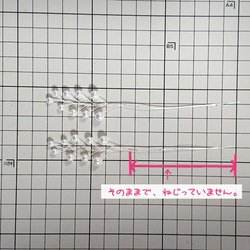  第3張的照片