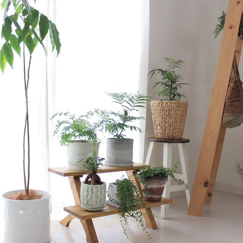 植物棚 植物ホルダー 木製植物スタンド 屋内屋外植物棚 複数の植物用 ガーデンバルコニーパティオ植物コーナー植物テーブル 93*28