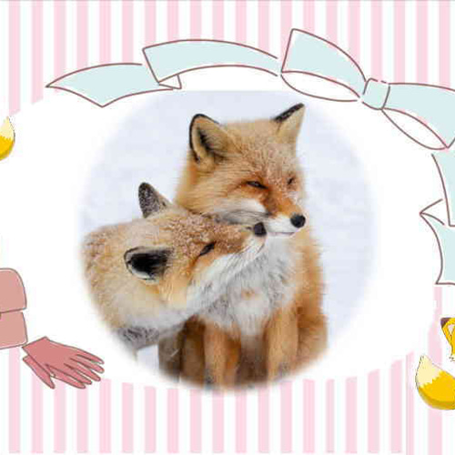 きつねダンス・ホワイトきつね・リアルファー仕立てfoxテール