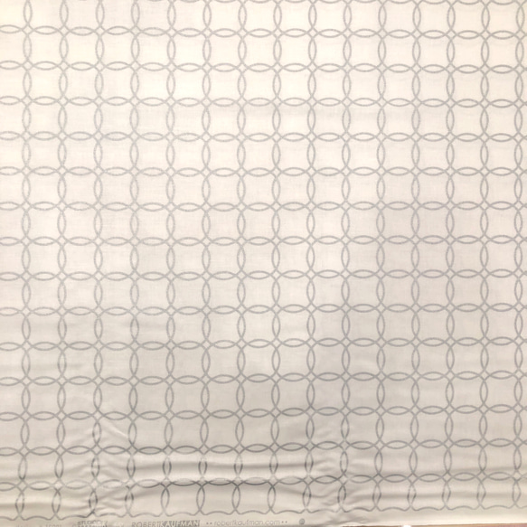[上一篇] 25cm 剪裁美國棉 ROBERT KAUFMAN METRO LIVING 第2張的照片