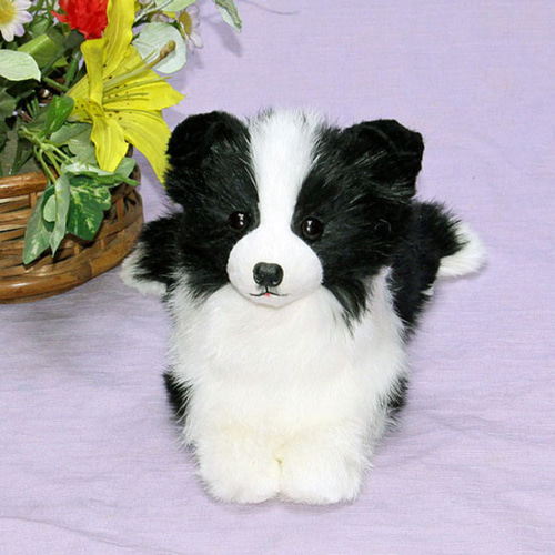 犬の日 2023 ボーダーコリーぬいぐるみ・犬愛犬ペットのグッズ