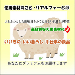 犬の日 2023 ボーダーコリーぬいぐるみ・犬愛犬ペットのグッズ 羊毛フエルト仕立て【再販/受注製作】 19枚目の画像