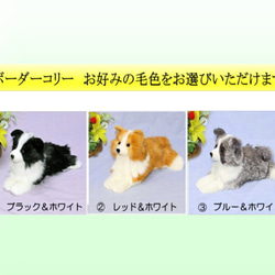 犬の日 2023 ボーダーコリーぬいぐるみ・犬愛犬ペットのグッズ 羊毛フエルト仕立て【再販/受注製作】 17枚目の画像