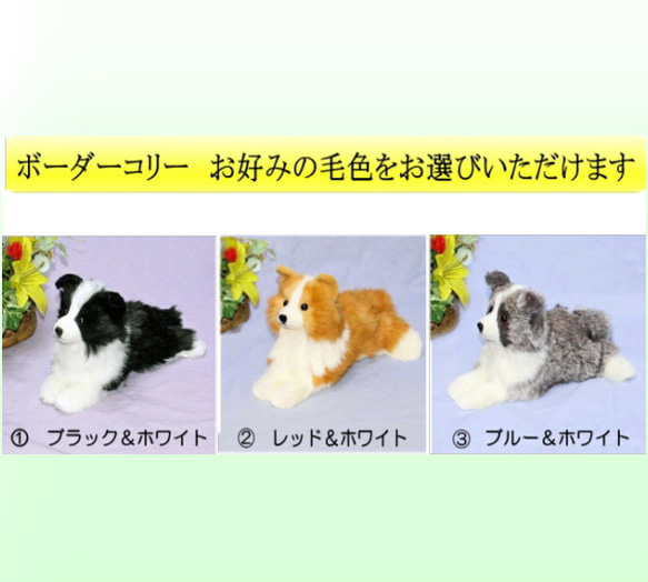 犬の日 2023 ボーダーコリーぬいぐるみ・犬愛犬ペットのグッズ 羊毛フエルト仕立て【再販/受注製作】 17枚目の画像