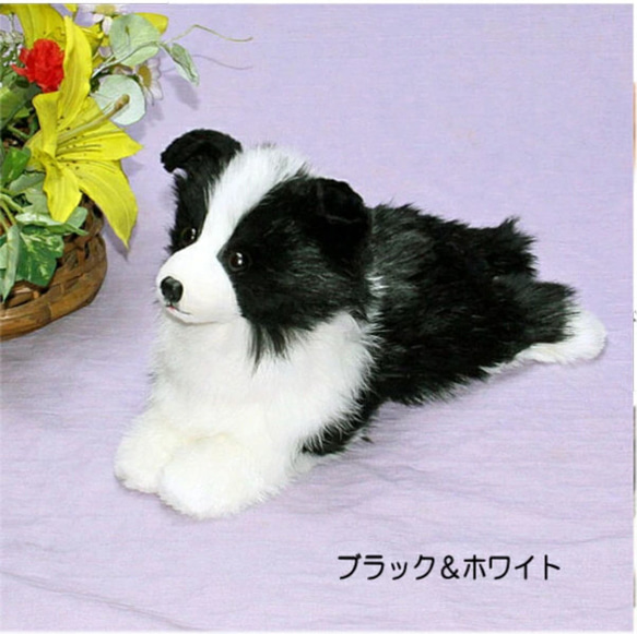 犬の日 2023 ボーダーコリーぬいぐるみ・犬愛犬ペットのグッズ 羊毛フエルト仕立て【再販/受注製作】 4枚目の画像