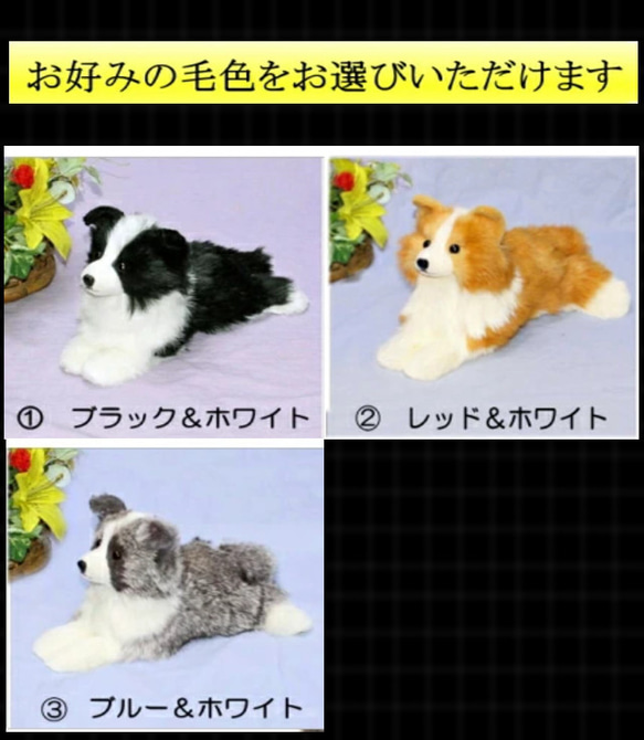 ギフトにボーダーコリーぬいぐるみ・犬愛犬ペットのグッズ【再販/受注製作】セミオーダー 13枚目の画像