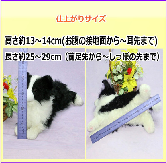 ギフトにボーダーコリーぬいぐるみ・犬愛犬ペットのグッズ【再販/受注製作】セミオーダー 8枚目の画像