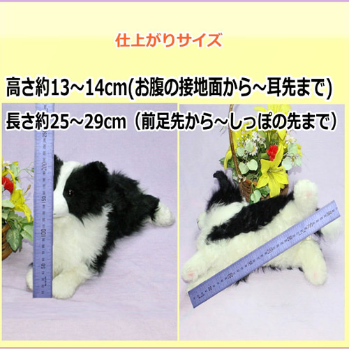 犬の日 2023 ボーダーコリーぬいぐるみ・犬愛犬ペットのグッズ