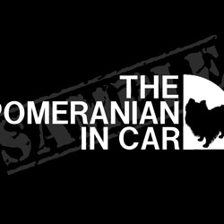 THE POMERANIAN IN CAR ステッカー（ポメラニアン） 5cm×17cm 1枚目の画像