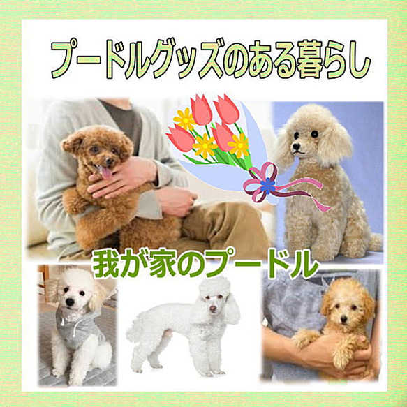 犬の日 2023 現品お届け・トイプードル・天然素材使用ファークラフト・ラグドールアート 9枚目の画像