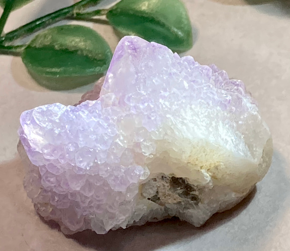 トライゴーニック✨カクタスアメジストサボテン水晶ラフストーン原石