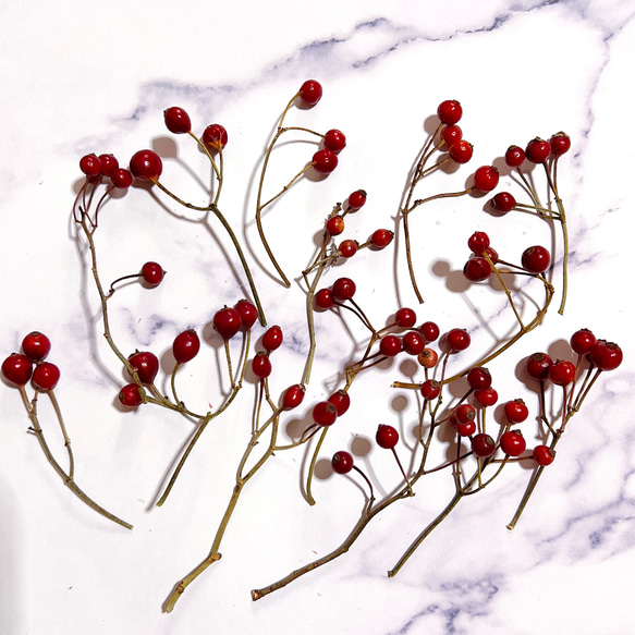 野ばらの実 小枝 12~15本 赤い実 ノイバラ ノバラの実 ローズヒップ ドライフラワー クリスマス 素材 1枚目の画像