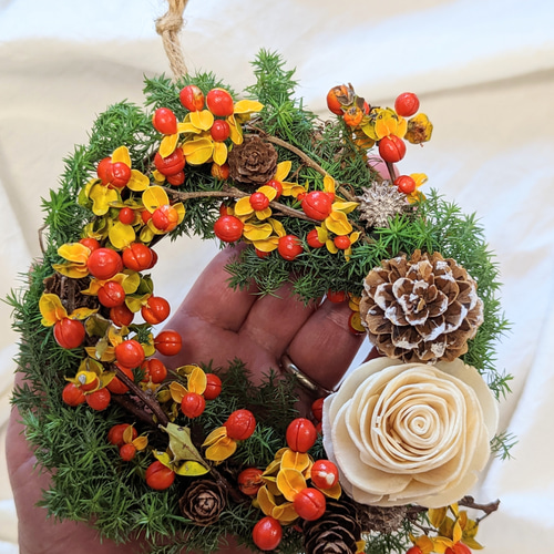 3日以内に発送します】手のひらサイズが可愛い！ツルウメモドキと  