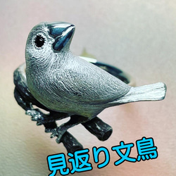 鳥 指輪・リング の人気通販｜Creema(クリーマ) 国内最大の