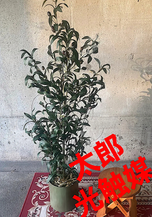 光触媒 人工観葉植物 ウォールグリーン フェイクグリーン フラワー