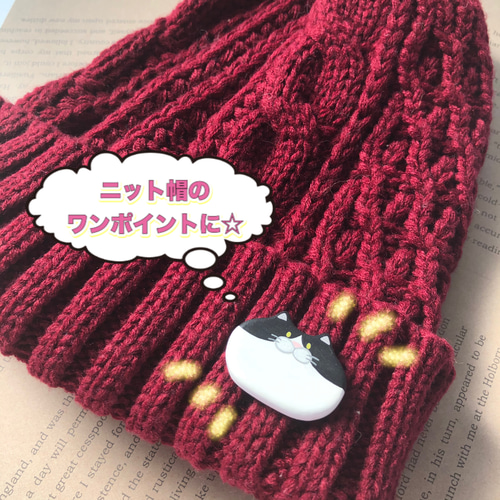 受注制作☆チンアナゴ＆ニシキアナゴ ブローチ/マグネット ブローチ