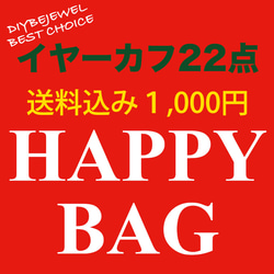 【特売！イヤーカフ22点入り】ハッピーバック！送料無料 1枚目の画像