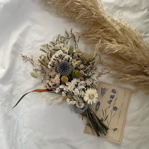 ࣪⊹ホワイトヘリクリサム&ベッチーズブルーとパンパスグラスの