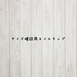 サイズ確認用ネイルチップ ネイルチップ（つけ爪） colore 通販