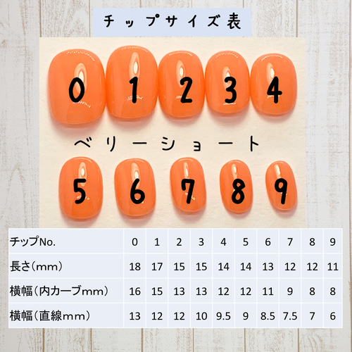 サイズ確認用ネイルチップ ネイルチップ（つけ爪） colore 通販