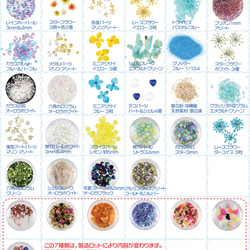 レジン封入 パーツ 押し花 材料 ドライフラワー 花材 ピンセット付き 35種類セット (ブルー系) 2枚目の画像