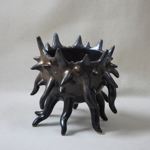 Ikumi様　希少　ブラジル　ヒメヤシ　バルーン陶器鉢　植え込み発送 Ikumi様 希少 ブラジル ヒメヤシ バルーン陶器鉢 植え込み発送