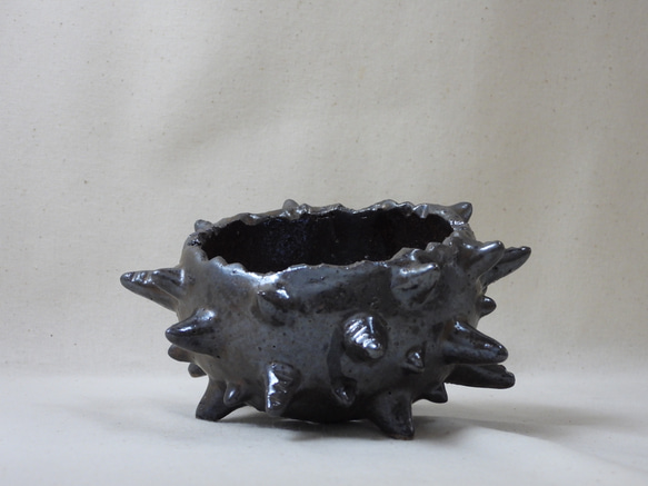 棘玉陶製植木鉢 2枚目の画像