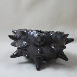 棘玉陶製植木鉢 6枚目の画像