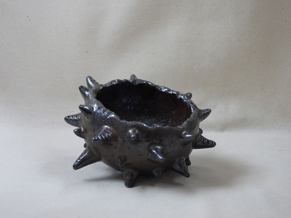 棘玉陶製植木鉢 5枚目の画像