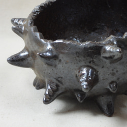 棘玉陶製植木鉢 10枚目の画像
