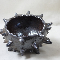 棘玉陶製植木鉢 3枚目の画像