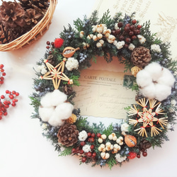 ドライフラワースワッグ(ニゲラ) ドライフラワー hime-flower 通販