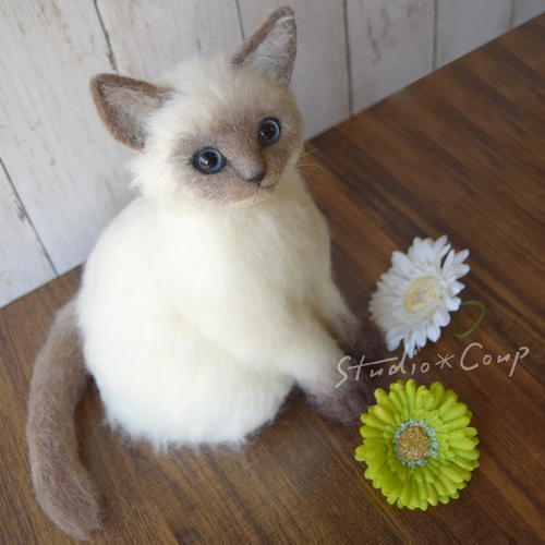 シャム猫の子猫 羊毛フェルト studio＊coup 通販 14831225｜Creema